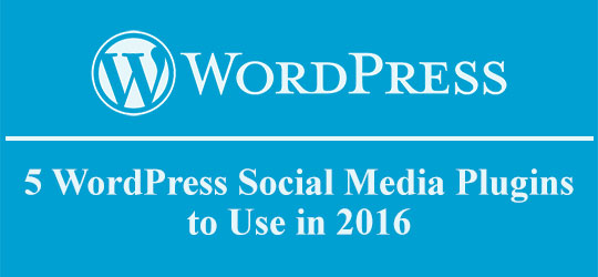 wordpress social media meta